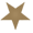 gold star